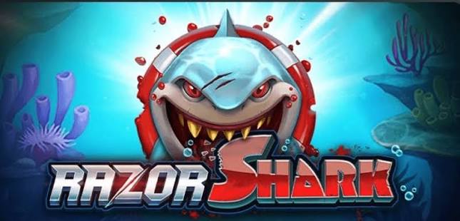 Razor Shark Port Erfahrungsbericht